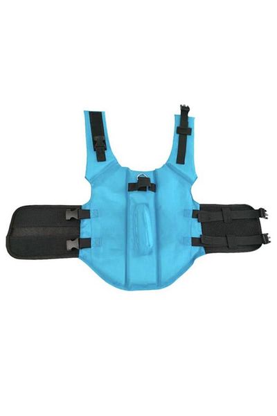 Lion Pet Shark Or Butterfly Dog Swim Jacket, Life Jacket S