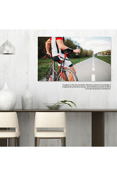StoryGift Romania Tablou Canvas Viteza In Mers Ciclist In Echipament Sportiv Bicicleta, Sport, Casca, Viteza, Ant