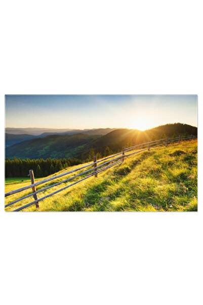 StoryGift Romania Tablou Canvas Feriga In Padure Fundal, Botanic, Natura, Fre...