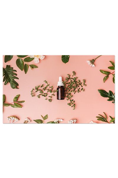 StoryGift Romania Tablou Canvas Balsam Organic Pentru Ingrijirea Pielii Cu Planta Sau Frunze Verzi O Solutie Nat