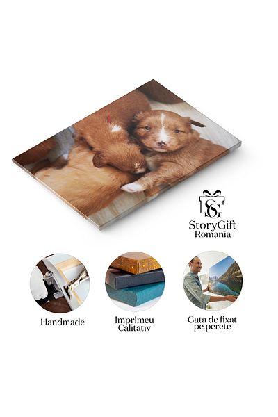 StoryGift Romania Tablou Canvas Grup De Catei Dragalasi Caini, Animale De Companie, Pufosenie 2261