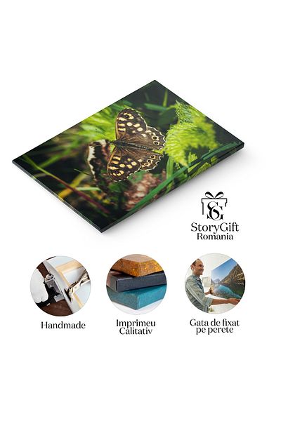 StoryGift Romania Tablou Canvas Fluture Pe Frunza Natura, Fluture, Insecta, Frunza, Macro 1274
