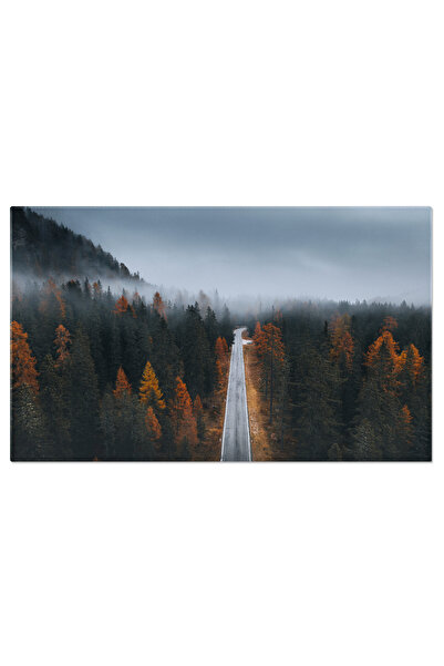 StoryGift Romania Tablou Canvas: Peisaj De Toamna - Drum Prin Padurea Inecata...