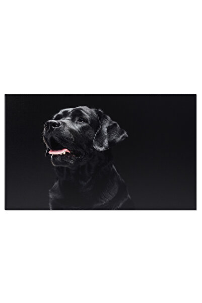 StoryGift Romania Tablou Canvas - Retriever Labrador, Portret Close-up, Tovaras Fidel Si Fermecator