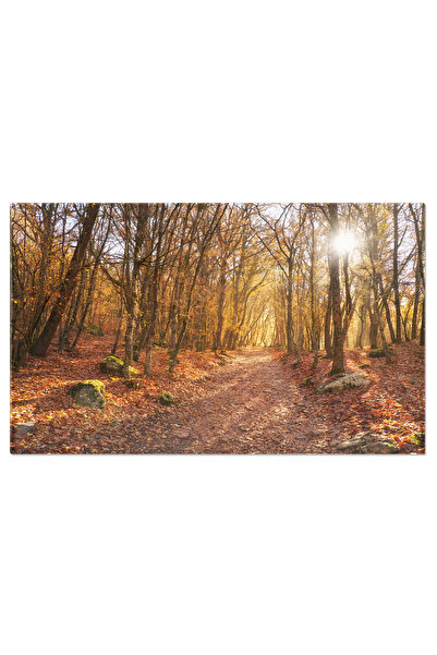 StoryGift Romania Tablou Canvas Padure De Toamna Adanca In Munti Toamna, Natu...