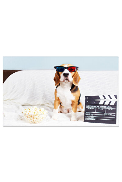 StoryGift Romania Tablou Canvas Cainele Beagle In Ochelari 3d Sta Pe Canapea,...