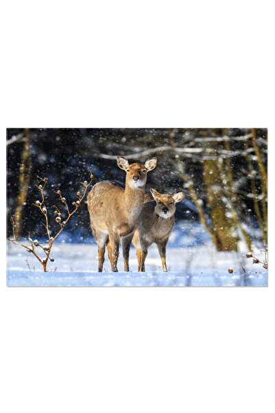 StoryGift Romania Tablou Canvas: Cerb Alb In Peisaj De Iarna - Cerb Alb, Peisaj, Iarna, Natura