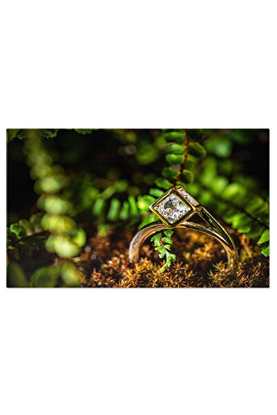 StoryGift Romania Tablou Canvas Inel Argintiu Cu Cristal In Forma De Cub, O B...