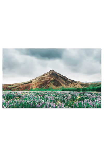 StoryGift Romania Tablou Canvas - Peisaj Montan Cu Lupini Si Rau: Vacanta De ...