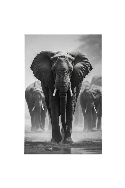 StoryGift Romania Tablou Canvas: Fotografie Cu Un Grup De Elefanti - B&w Anim...