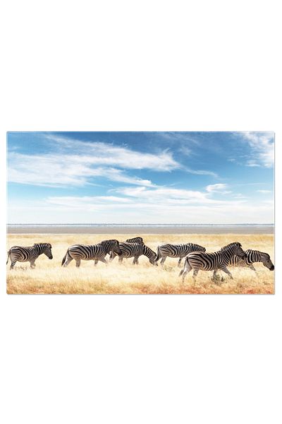 StoryGift Romania Canvas Print Zebra Family On Dry Savannah, Wildlife, Africa, Savannah, Reservation 3