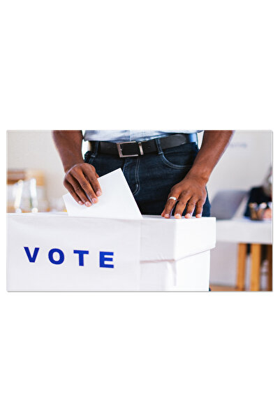 StoryGift Romania Tablou Canvas - Dreptul De A Vota: Democracy In Actiune