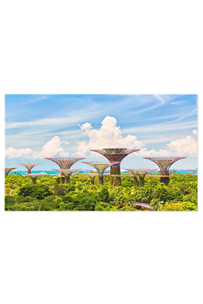 StoryGift Romania Tablou Canvas Gradina Supertree Din Singapore, Arhitectura ...