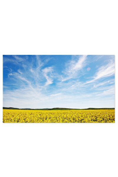 StoryGift Romania Tablou Canvas Dimineata In Valea Cu Campuri Vara, Peisaj Na...