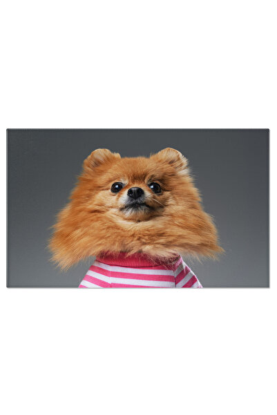 StoryGift Romania Tablou Canvas - Catelus Pomeranian In Portocaliu, Cu Blana ...