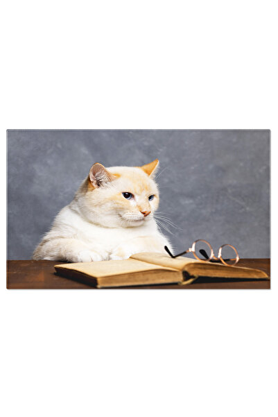 StoryGift Romania Tablou Canvas Pisica Sta La Masa Si Se Gandeste La O Bautur...