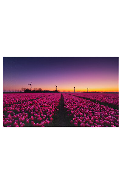 StoryGift Romania Tablou Canvas Camp De Lalele La Apus Cu Generator De Vant, ...