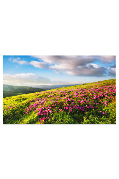 StoryGift Romania Tablou Canvas Camp De Flori La Apus In Munti, Peisaj, Munte...