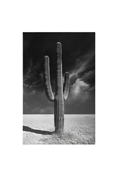 StoryGift Romania Tablou Canvas: Cadru Cactus Din Apropiere Și Detalii În Deș...