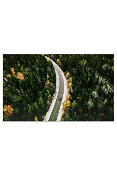 StoryGift Romania Tablou Canvas - Calatorie Prin Europa: Drumuri, Paduri Si C...