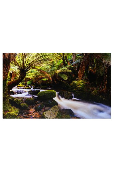 StoryGift Romania Tablou Canvas Armonia Apei Si Frunzei: Cascada Horseshoe In Inima Tasmaniei, Australia. 4188
