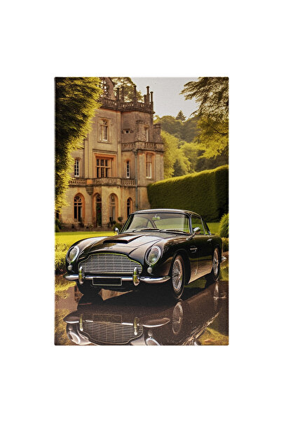 StoryGift Romania Tablou Canvas: Masina De Epoca In Fata Unui Conac - Prezent...