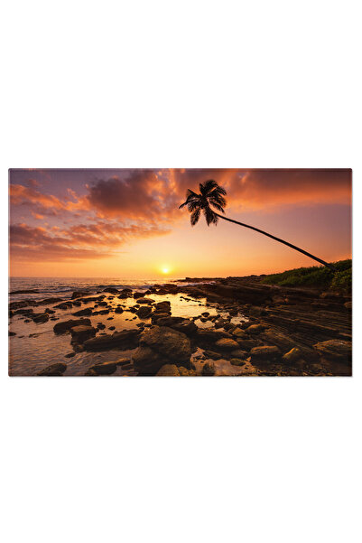 StoryGift Romania Tablou Canvas: Siluete Sub Cerul Crepuscular Din Sri Lanka ...