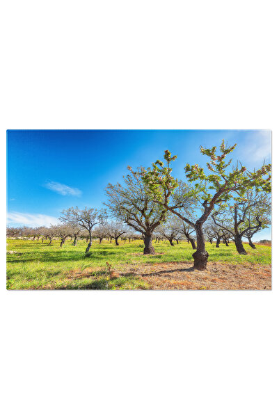 StoryGift Romania Tablou Canvas Cascade Frumoase La Glen Etive, Cascada, Munte, Rau, Iarna, Peisaj, Natura 803