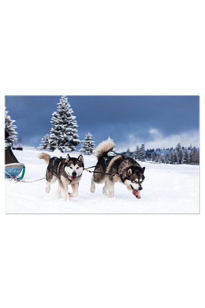 StoryGift Romania Tablou Canvas Caine Participand La O Cursa Cu Sania Actiune...