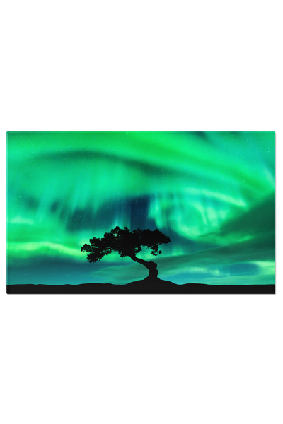 StoryGift Romania Tablou Canvas Magie In Padurea Boreala - Luminitele Aurorelor Boreale Danseaza Printre Copaci