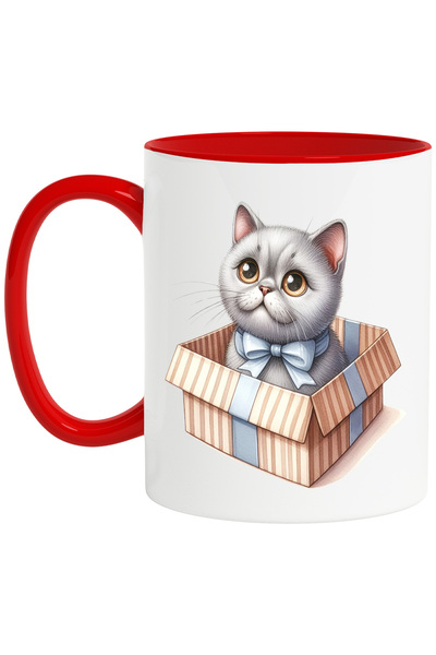 StoryGift Romania Cana Cu O Pisicuta Care Iese Dintr-o Cutie De Cadou | Adopt...