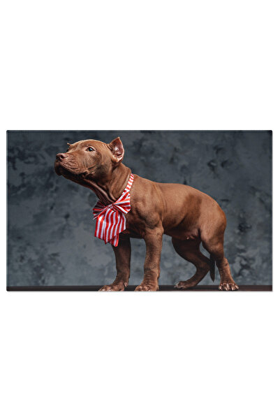 StoryGift Romania Tablou Canvas - Staffordshire Bull Terrier Cu Aspect Elegan...