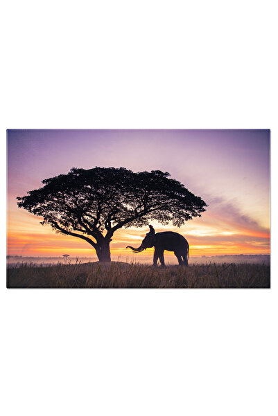 StoryGift Romania Tablou Canvas Elefant In Padure La Rasarit Natura, Animale ...