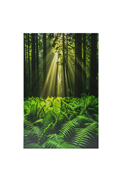 StoryGift Romania Tablou Canvas: Pădure Tropicală Cu Frunze Mari Și Razele So...