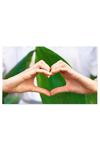 StoryGift Romania Tablou Canvas Inima Pe Fond De Plante, Tropical, Palmier, Iubire, Protejeaza, Gradina. 4025
