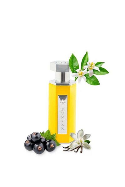 Reef Reef Summer Yellow Eau de Parfum