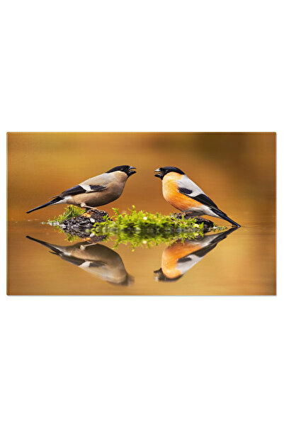 StoryGift Romania Tablou Canvas Pereche De Ciocantatori Eurasiatice Mascul Si...