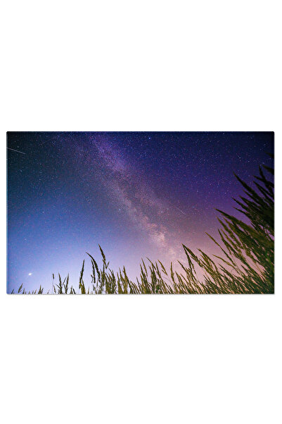 StoryGift Romania Tablou Canvas Vedere De Jos A Cerului Instelat De Noapte August, Cosmic, Peisaj Nocturn, Cer St