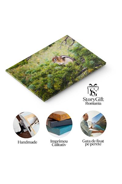 StoryGift Romania Canvas Print Small Daisies On Green Grass Background: Flowers, Summer, Floral Design, Garden, Nature