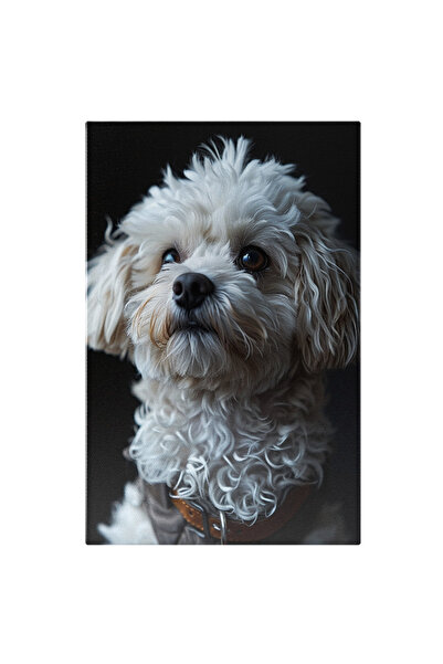 StoryGift Romania Tablou Canvas Puppy White Catelus Dragut Cu Ochii Maro Si N...