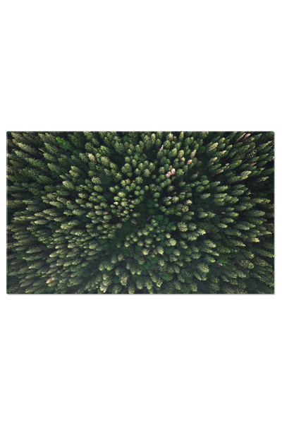 StoryGift Romania Tablou Canvas Toamna Colorata In Padure - Frumusetea Naturi...