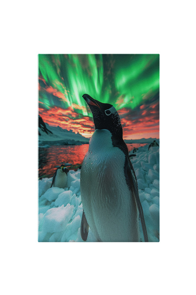 StoryGift Romania Tablou Canvas: Pinguin Fascinat De Magia Culorilor Aurorii ...