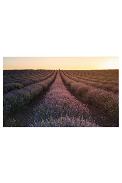 StoryGift Romania Tablou Canvas - Lavanda In Provence: Culori Pastelate In Natura