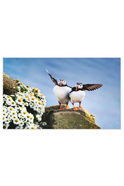 StoryGift Romania Tablou Canvas Intalnire La Apusul Fiordurilor, Peisaj, Macareu, Pasare, Islanda, Natura, Stanci