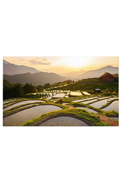 StoryGift Romania Canvas Painting: Agriculture in Asia - Rural Landscape with...