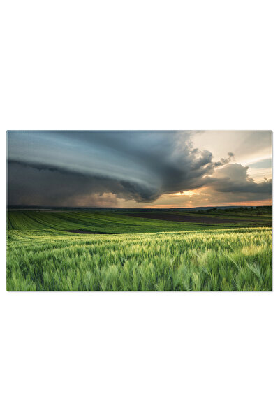 StoryGift Romania Tablou Canvas Ciclon In Camp, Peisaj Natural Frumos Peisaj,...