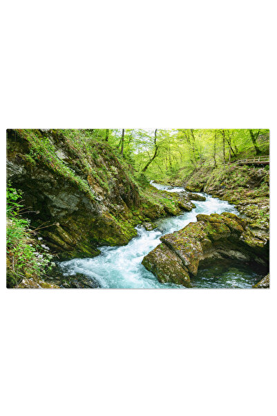 StoryGift Romania Tablou Canvas - Peisaj Natural In Slovenia - Canionul Vintg...