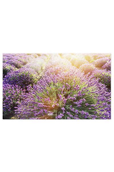 StoryGift Romania Tablou Canvas: Camp De Lavanda In Provence - Arome Si Natura