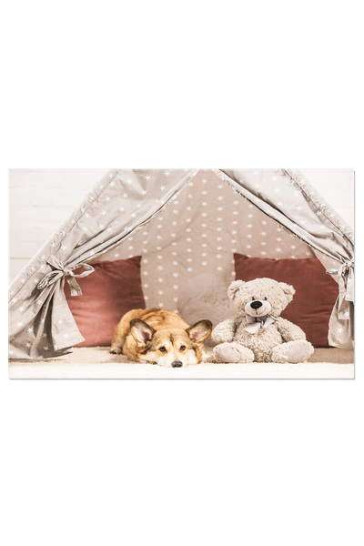 StoryGift Romania Tablou Canvas Corgi Welsh Pembroke Culcat In Wigwam Cu Juca...