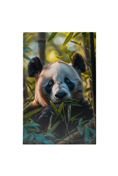 StoryGift Romania Tablou Canvas: Dralagasul Urs Panda Cu Ochii Sticlosi Asuns...